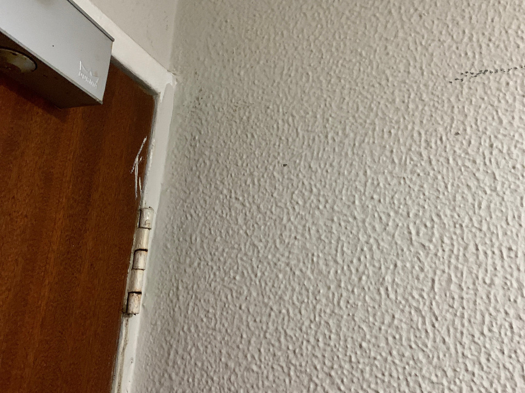 纽卡斯尔旅馆主图