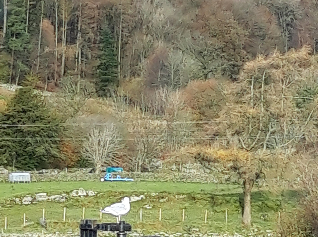 The Wilson's Arms主图