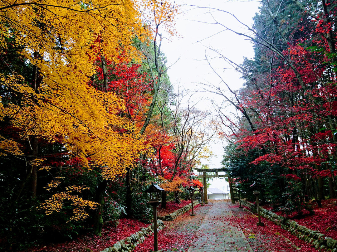Higaimoto Hachiman Shrine景点图片