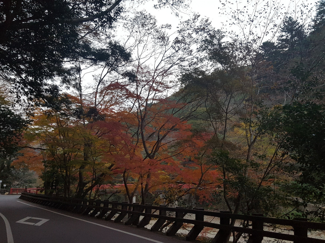 Tenjinkyo Canyon景点图片