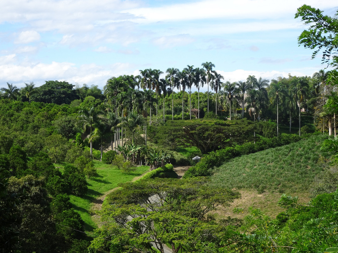 Hotel del Campo主图