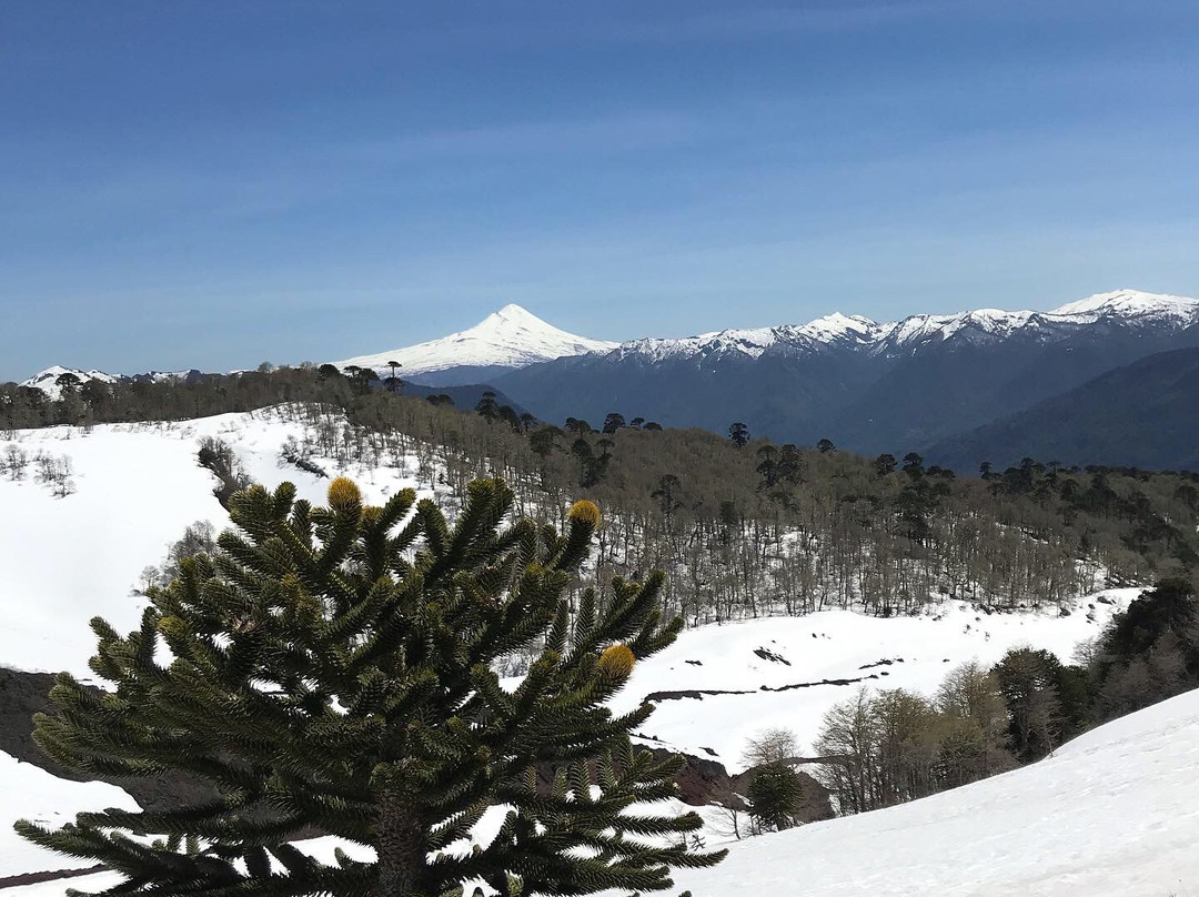 Hospedaje Icalma主图