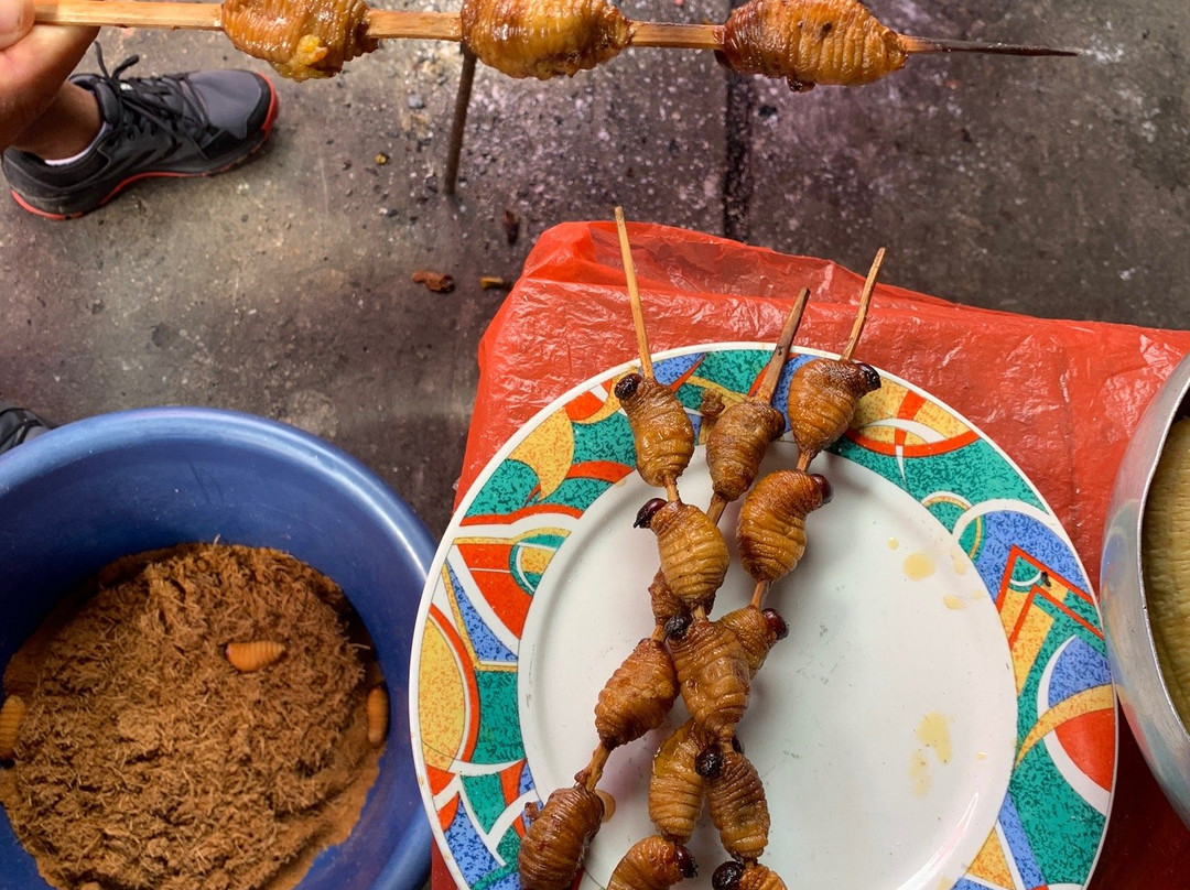 Marlon Ashanga - Jungle Guide-伊基托斯必去景点