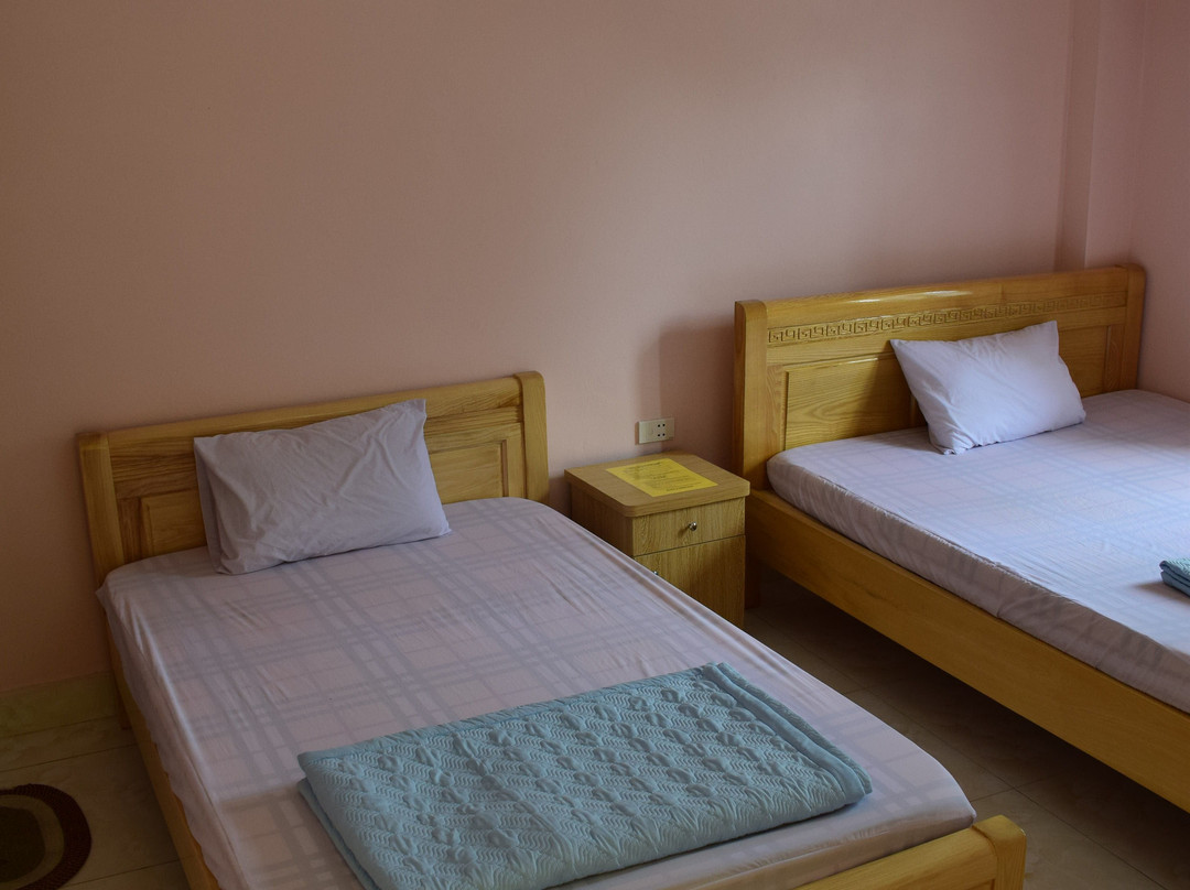 Cat Ba Sweet Potato主图