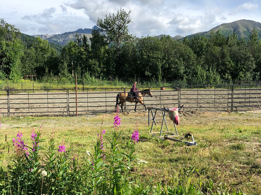 Sunderland Ranch-帕尔默必去景点
