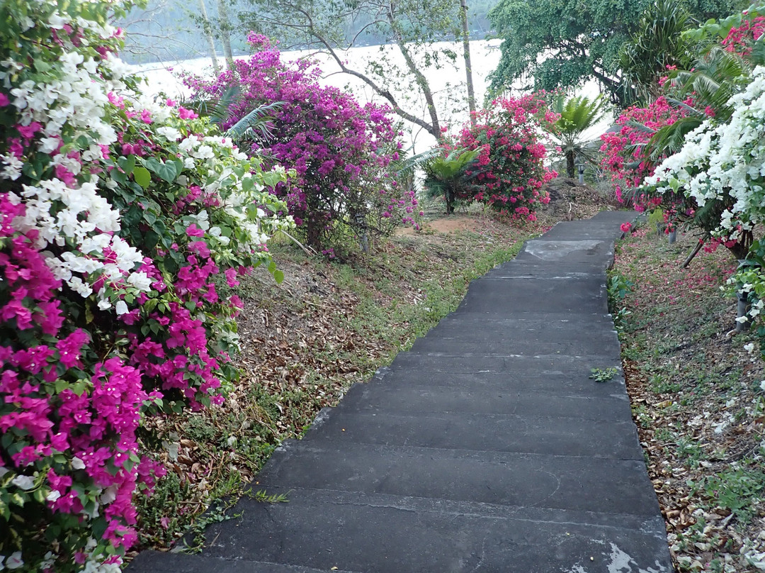黑沙潜水疗养酒店主图