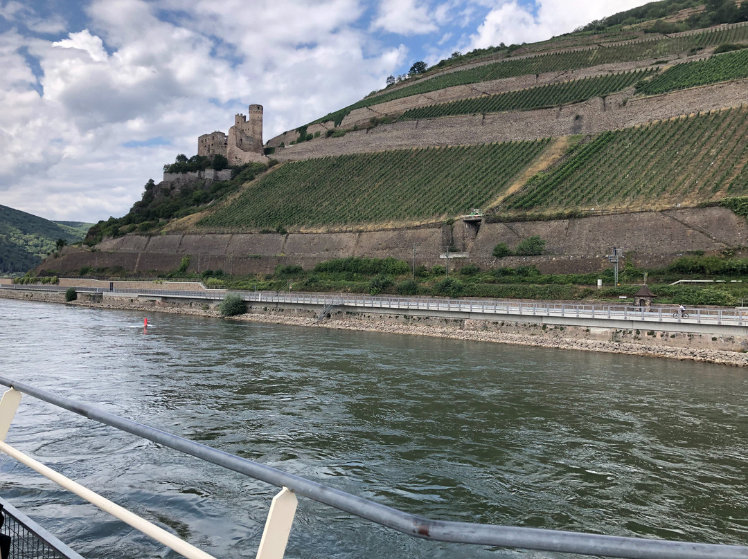 Burg Ehrenfels-吕德斯海姆必去景点
