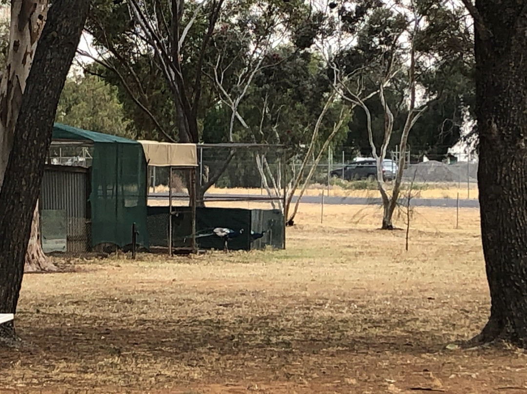 Centenary Park-Wycheproof必去景点