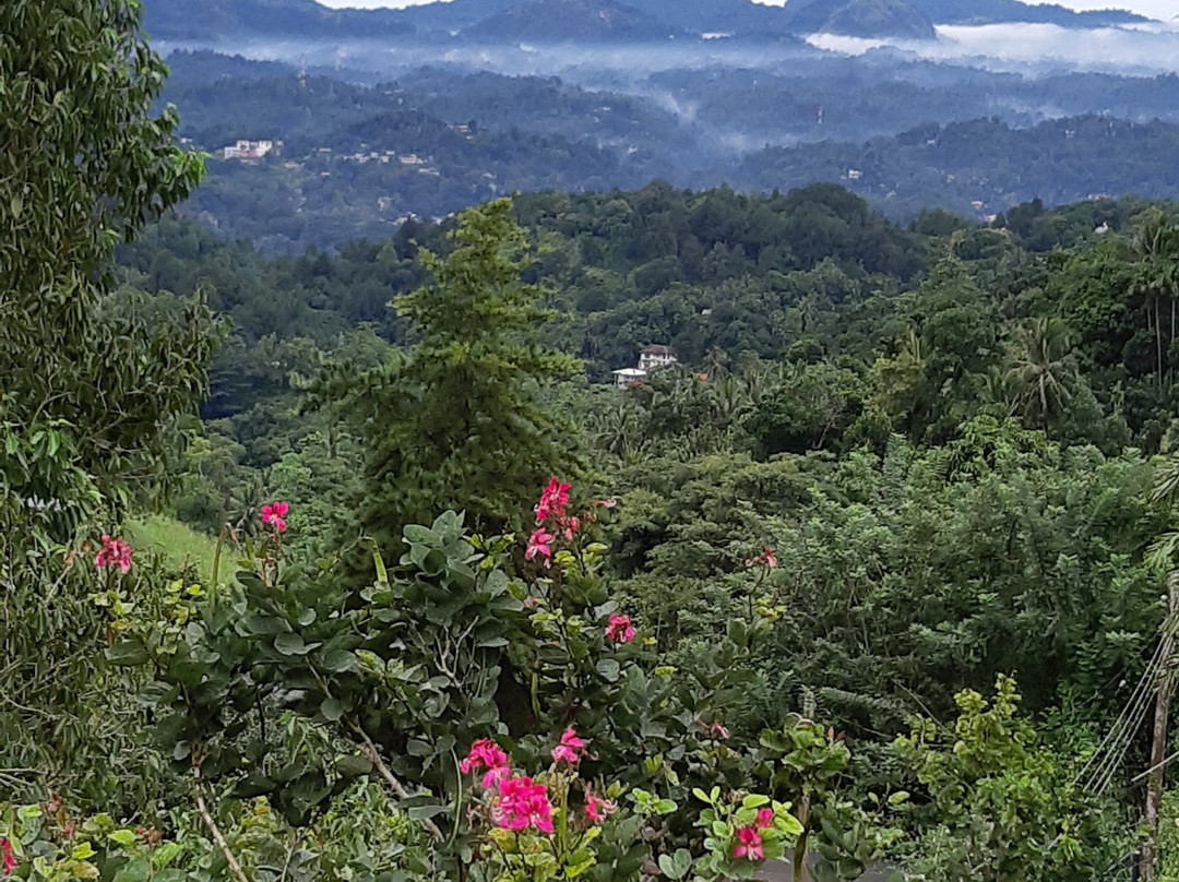 Melheim Villas Kandy主图