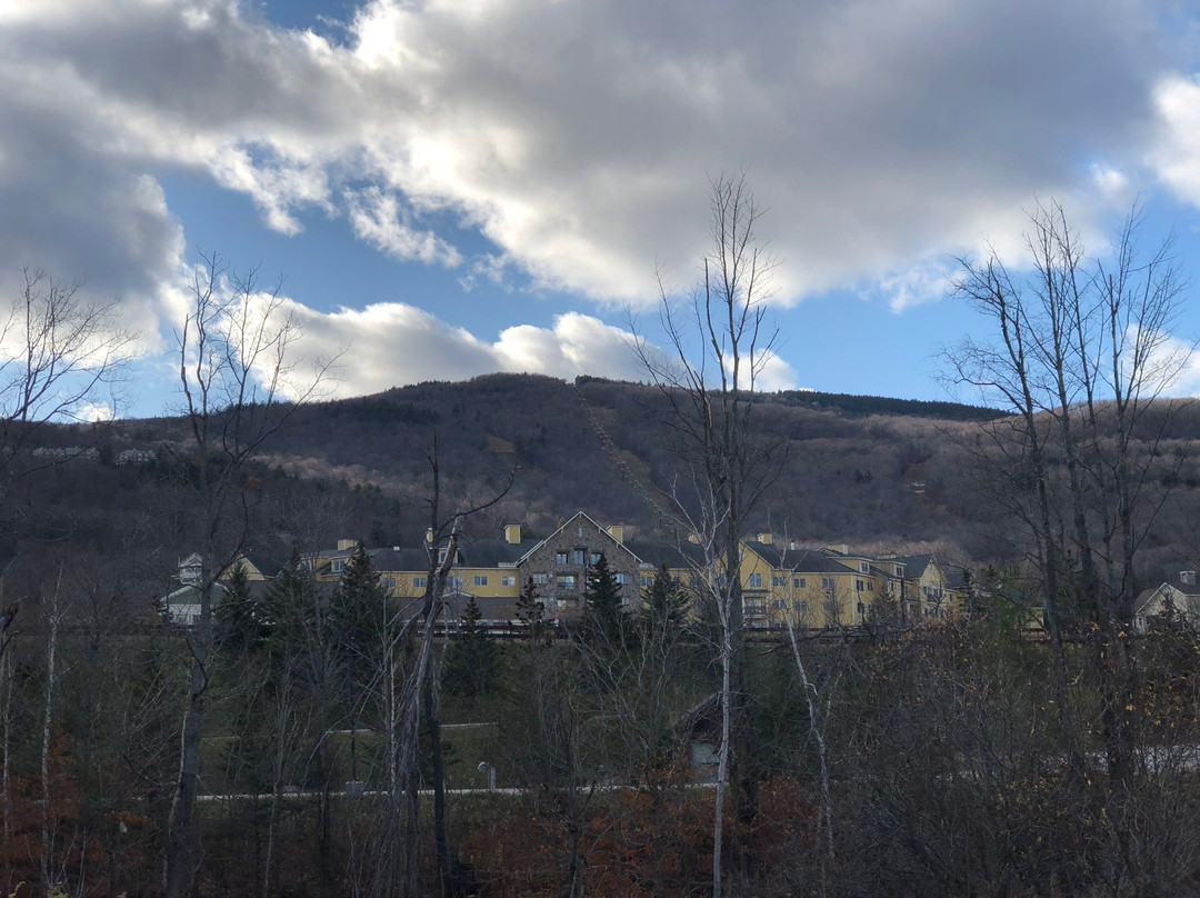 Jackson Gore Inn主图