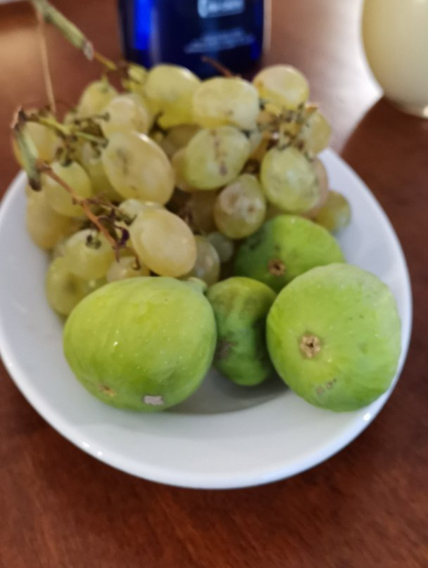 Agriturismo Angelucci主图