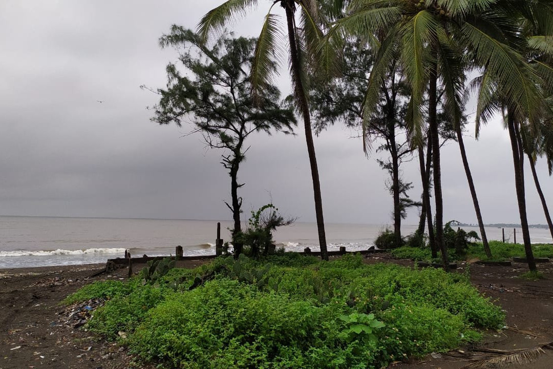 Rajodi Beach景点图片