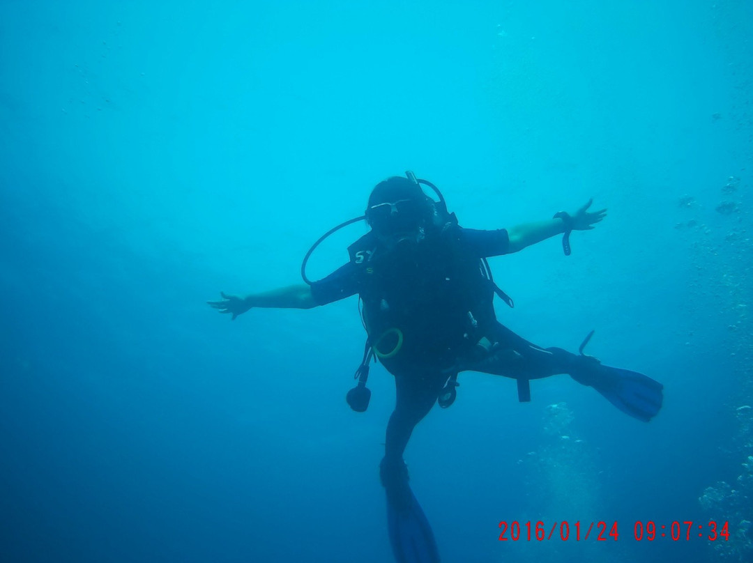 Scuba Yogi景点图片