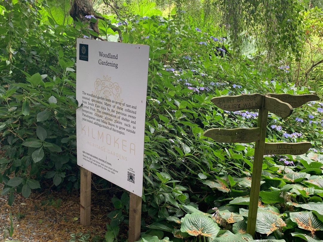 Kilmokea Gardens-Campile必去景点