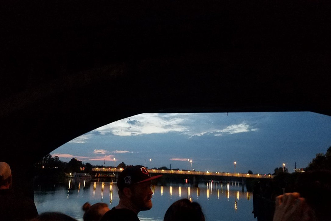 Congress Avenue Bridge Bat Watching景点图片