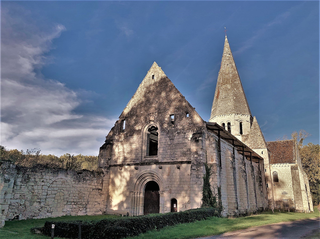 Ancienne abbaye Notre-Dame d'Aigues-Vives景点图片
