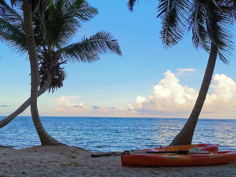 coral go experience-Mahahual必去景点