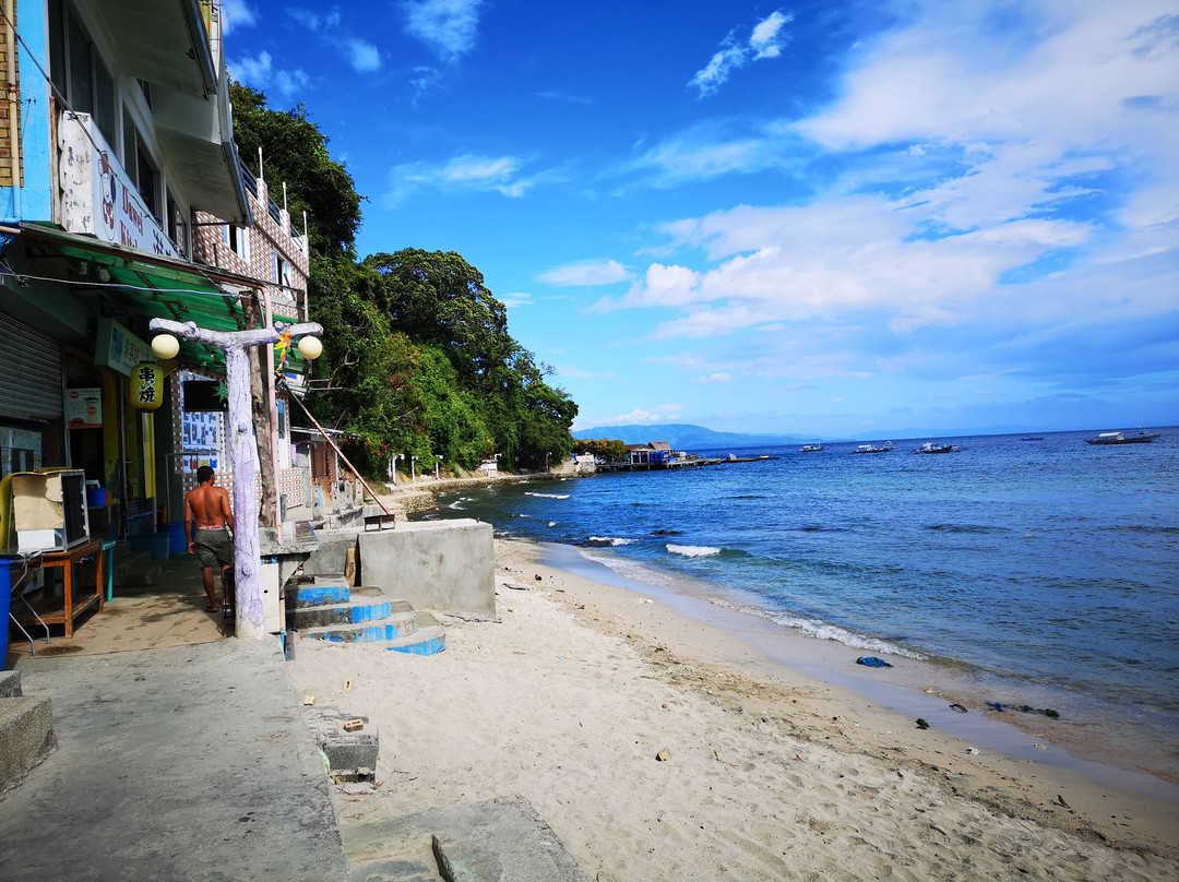 海洋驾驭潜水中心-葡多咖蕾拉必去景点