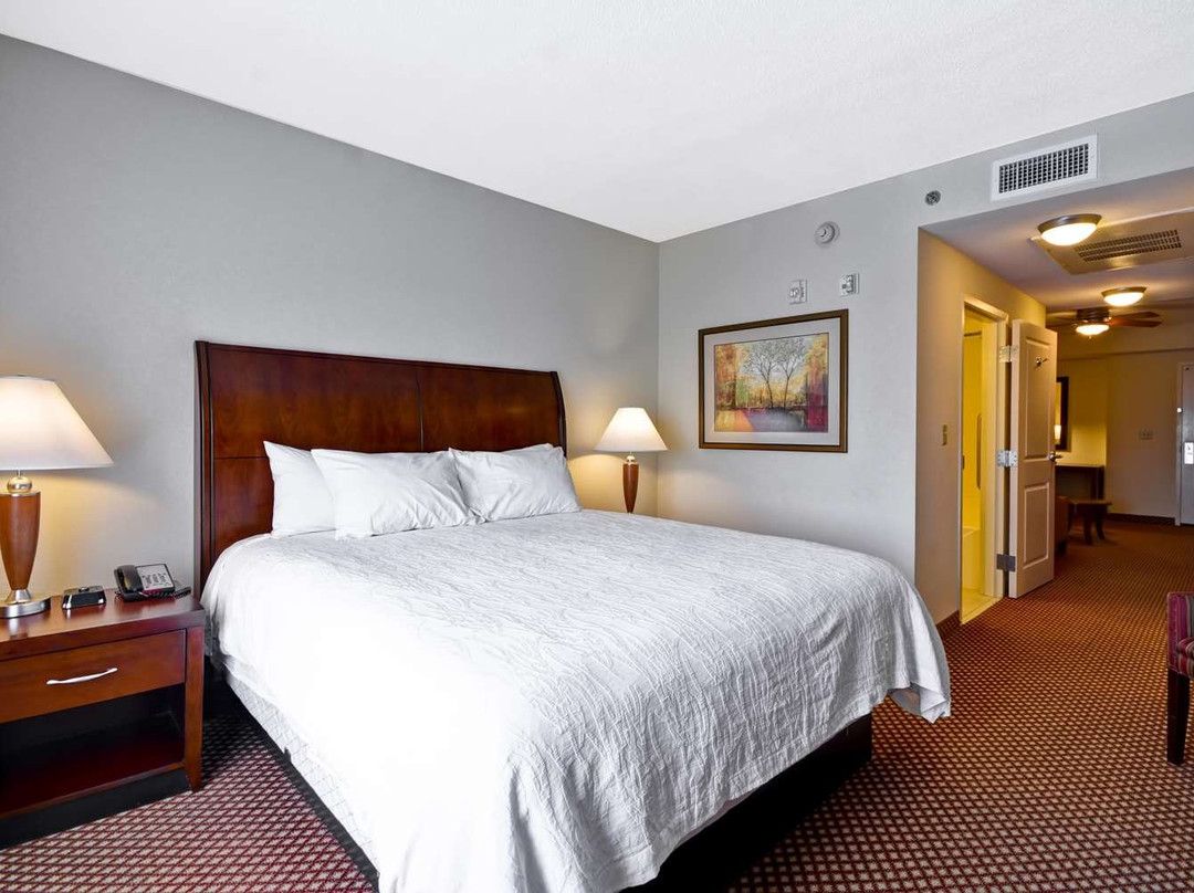 Hilton Garden Inn Tampa/Riverview/Brandon主图