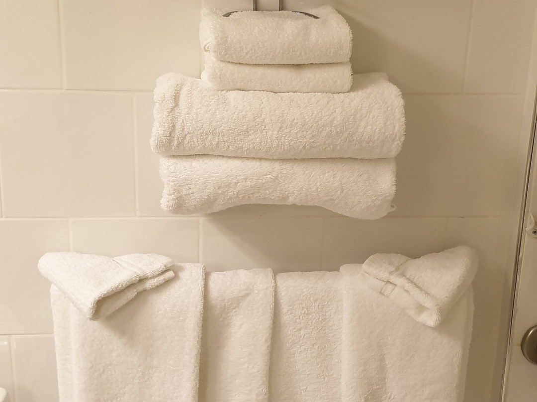 克利尔沃特酒店主图