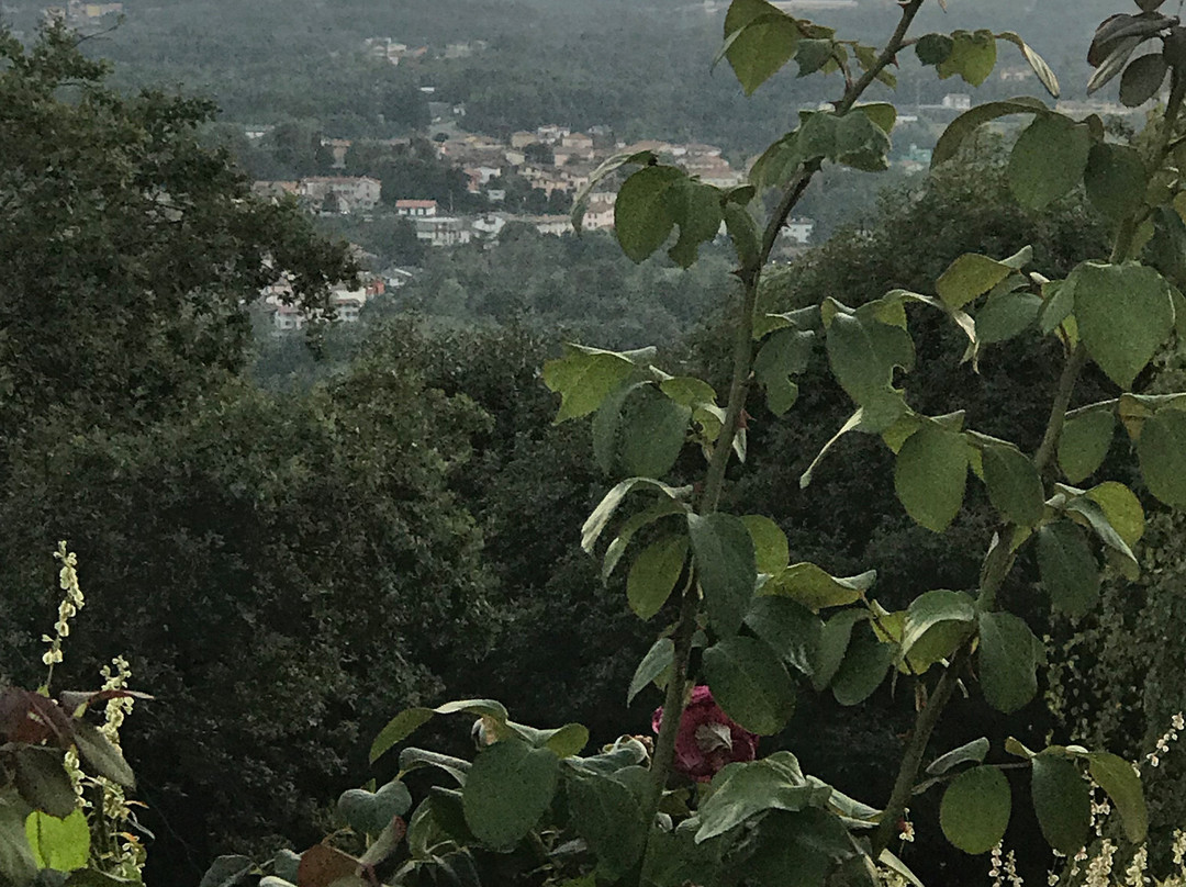 Cascina Rodiani - Green Hospitality主图