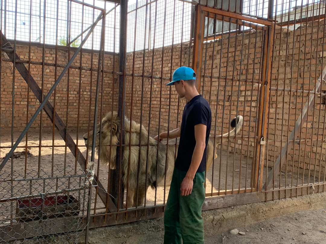 Bugu-Ene Zoo-Karakol必去景点