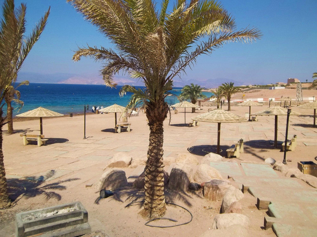 Aqaba Marine Park景点图片