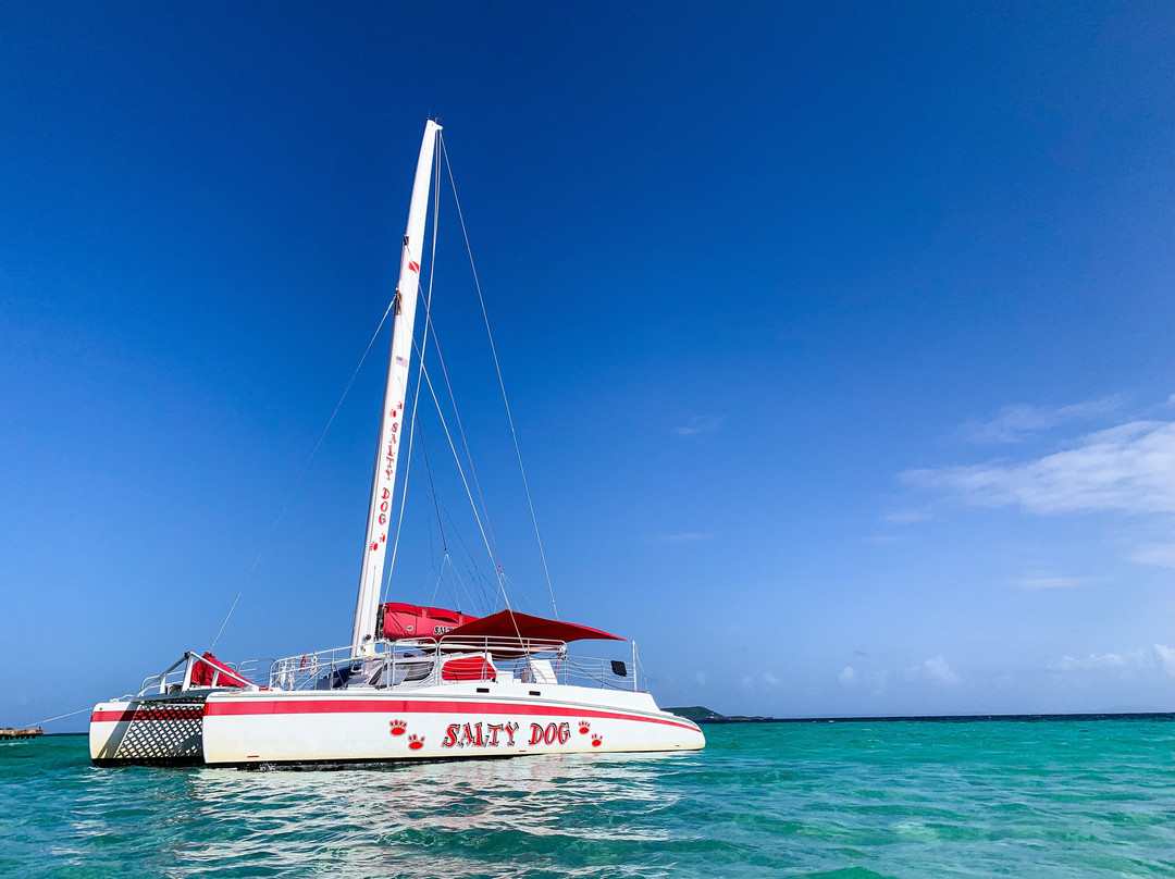 Salty Dog Catamaran-法哈多必去景点