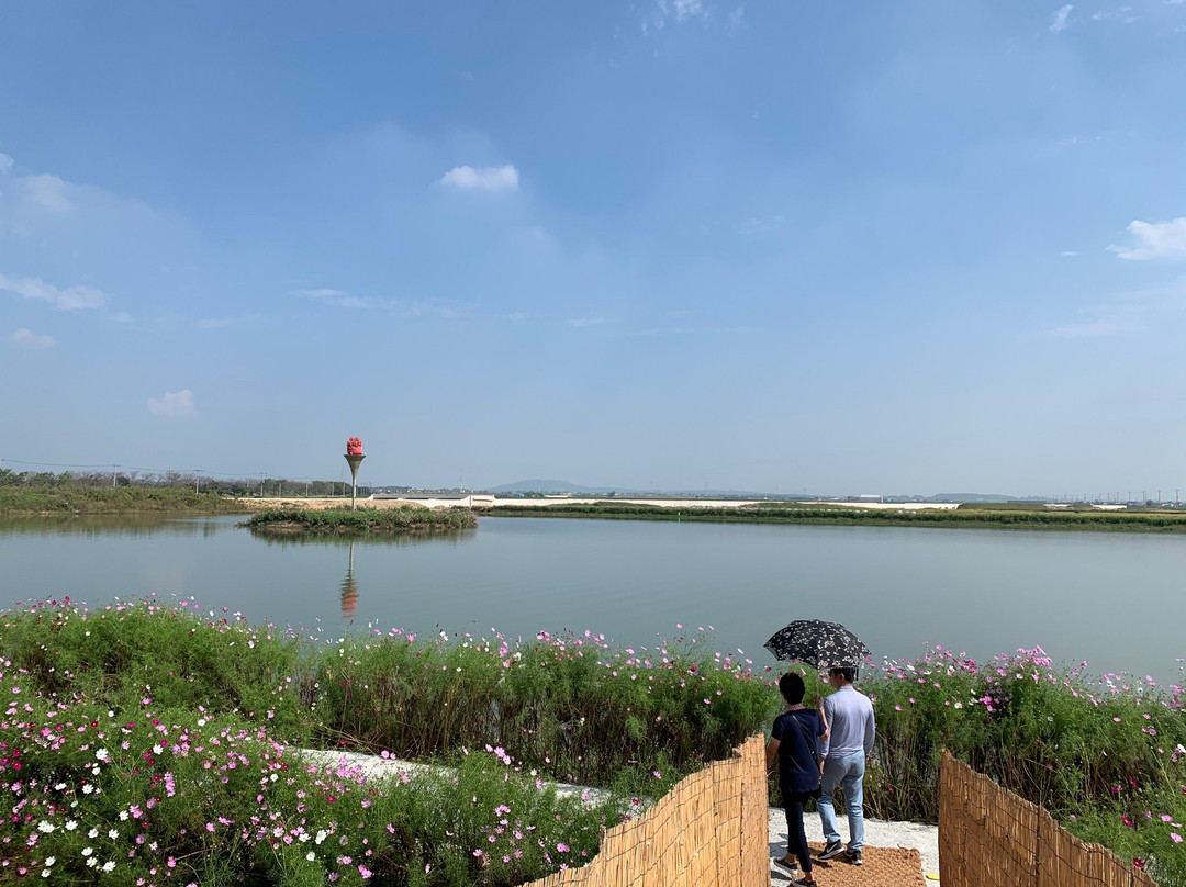 Gimje Horizon Festival-金堤市必去景点