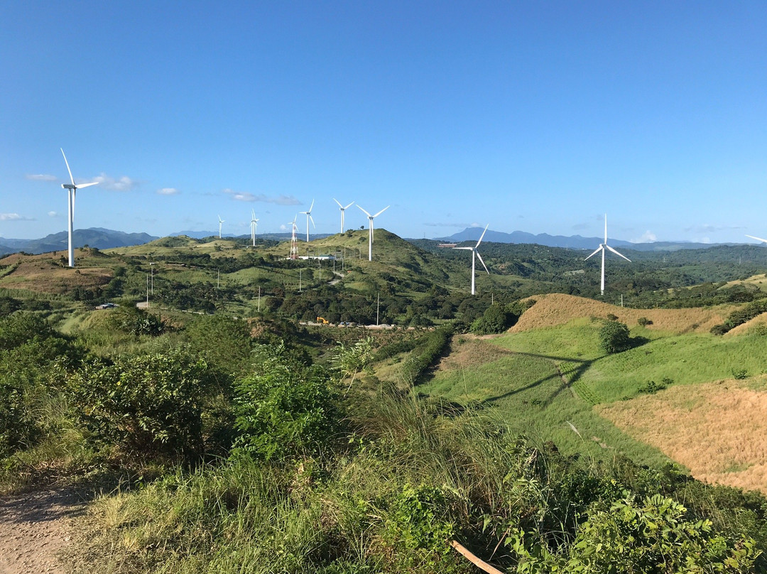 Windmill Farm景点图片
