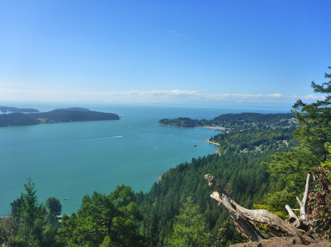 阳光海岸旅游景点-Soames Hill (aka Knob Hill)