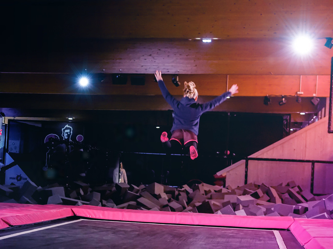 SPRUNG RAUM Trampolinpark景点图片
