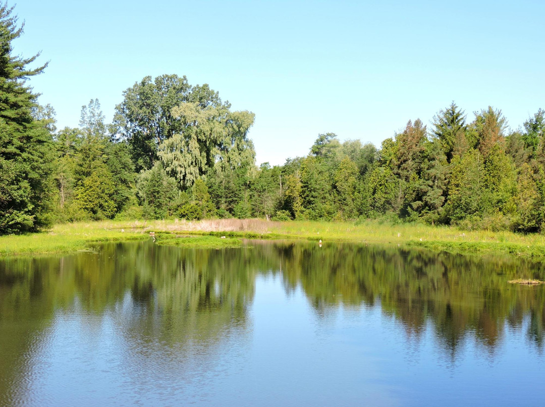 Hay Creek Conservation Area景点图片