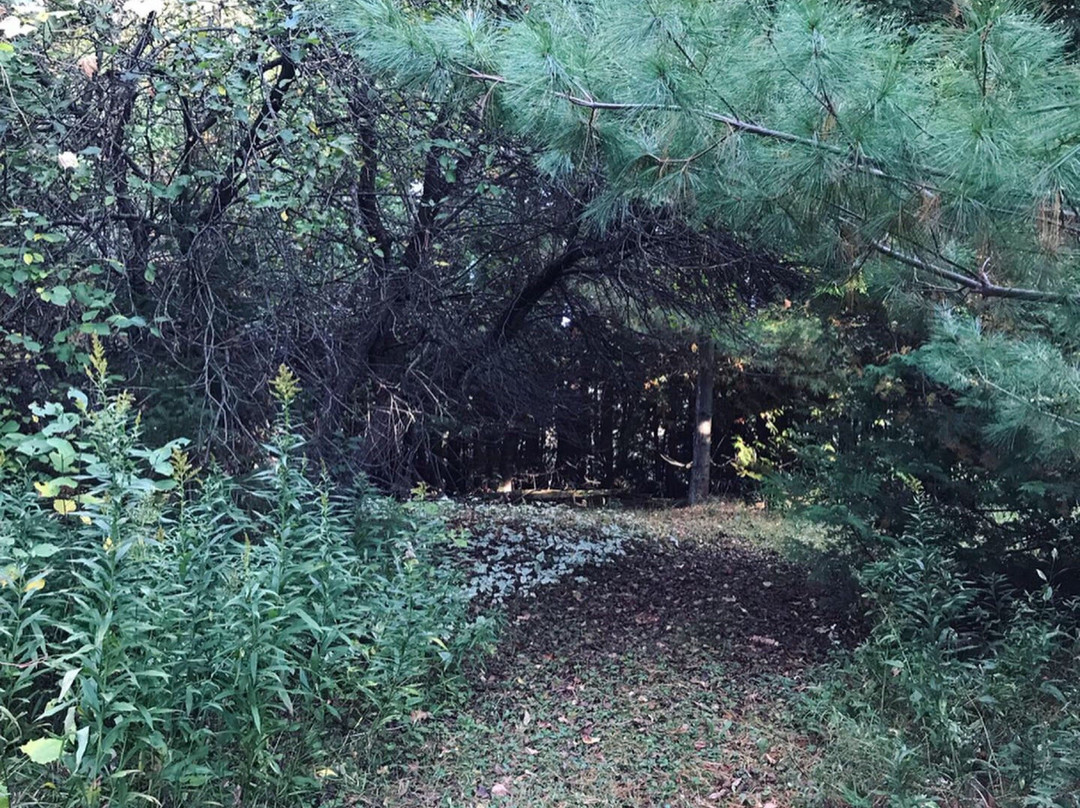 Inn on the Moraine主图