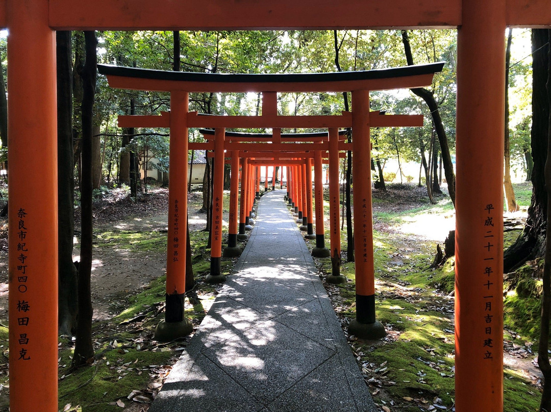 Kashihara Jingu Massha Nagayama Inari Shrine-橿原市必去景点