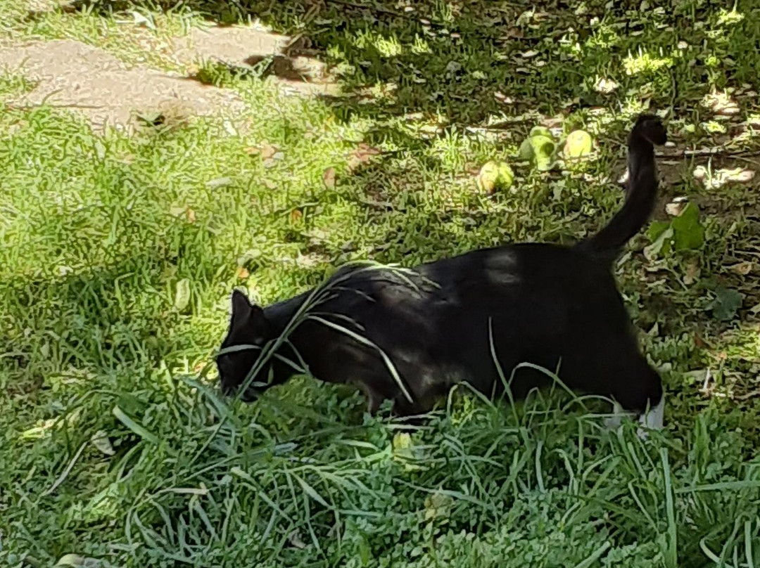 Willowbrook Farm-Oak Glen必去景点