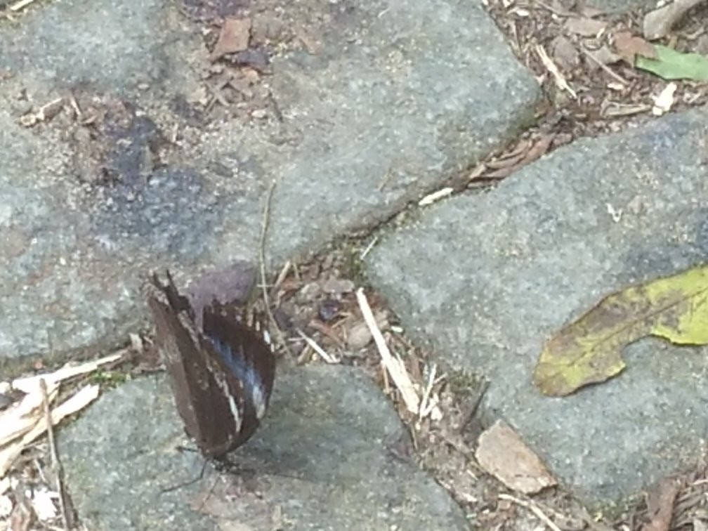 Ruinas da Lagoinha-乌巴图巴必去景点