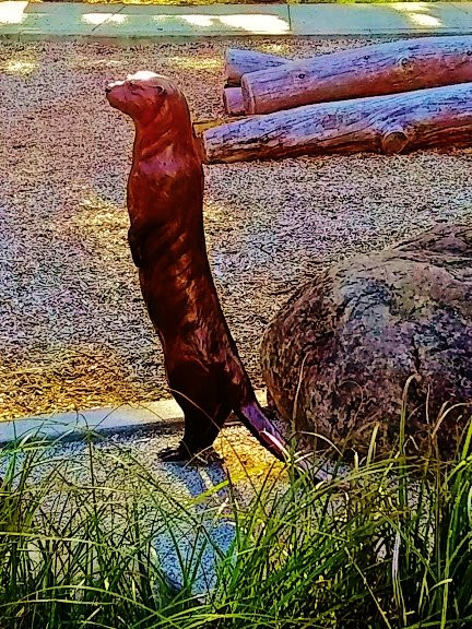 格雷舍姆旅游景点-Nadaka Nature Park