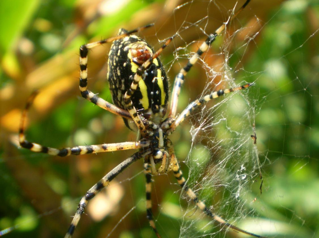 Stratford Ecological Center