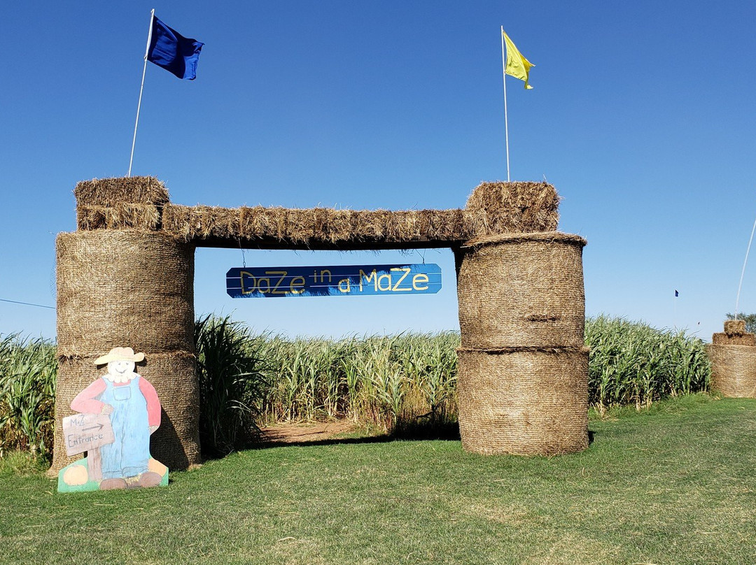 Daze in a Maze-Enid必去景点