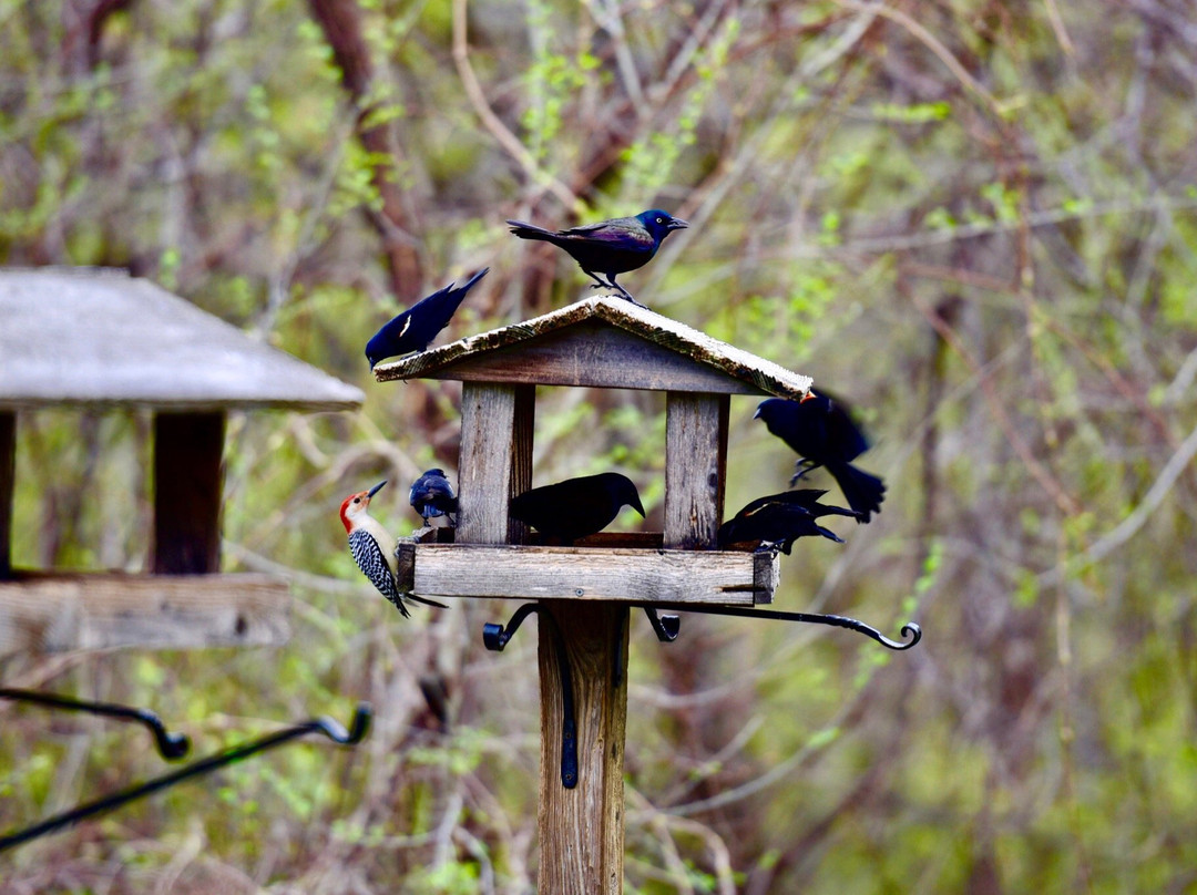 Minnesota Valley National Wildlife Refuge景点图片