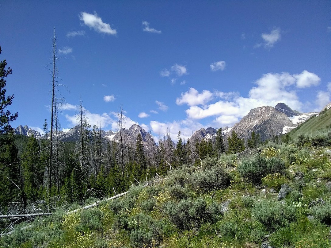 Redfish Lake Corrals- Mystic Saddle Ranch景点图片