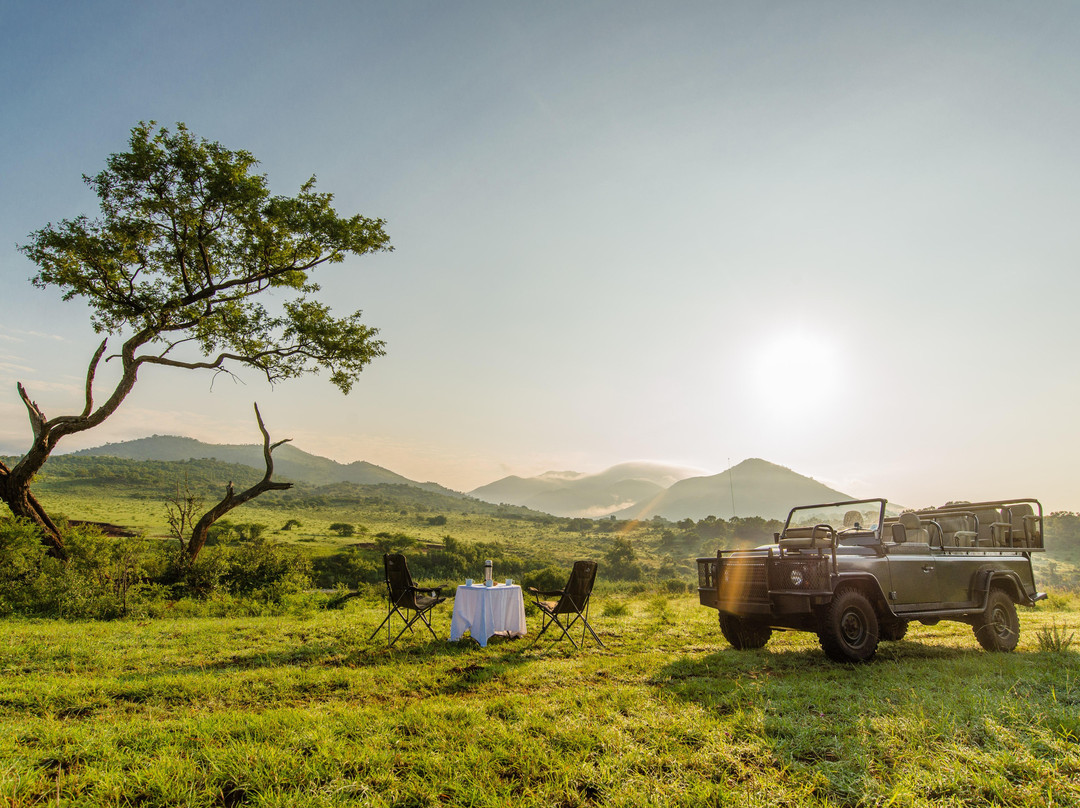 Go Touch Down Travel and Tours-萨拉索塔必去景点