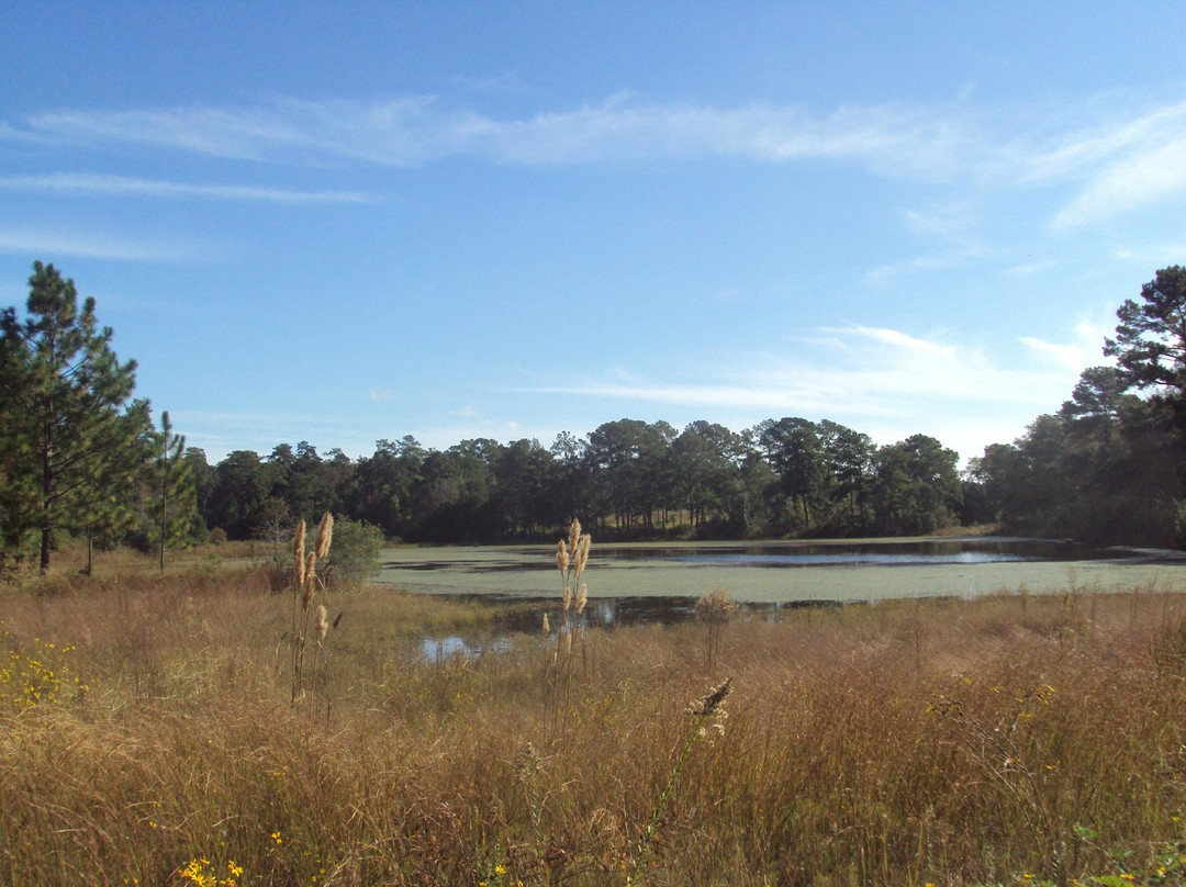 Birdsong Nature Center景点图片