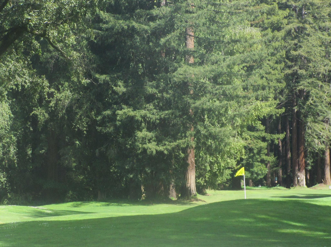 Northwood Golf Club景点图片