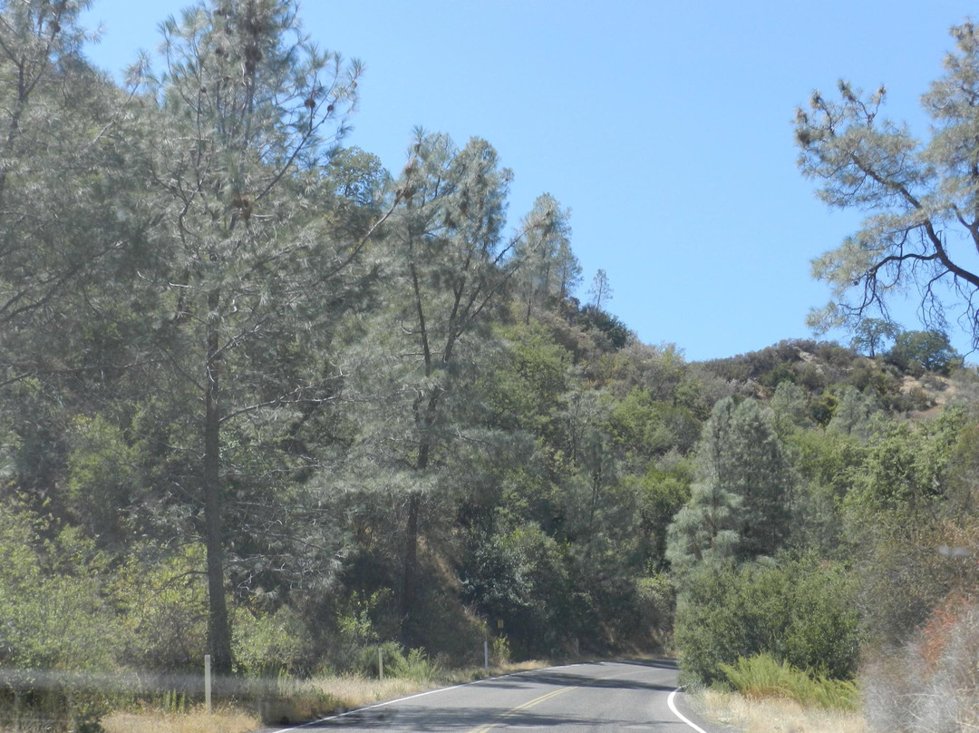 State Route 198-加利福尼亚必去景点