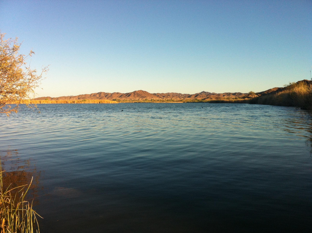 Mittry Lake Wildlife Area景点图片