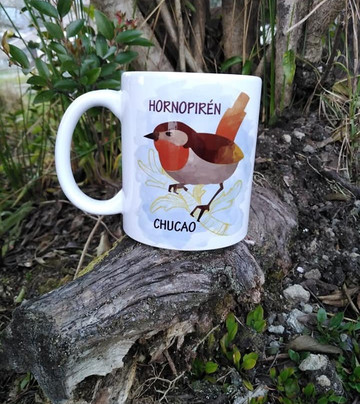 Hornopiren旅游攻略图片