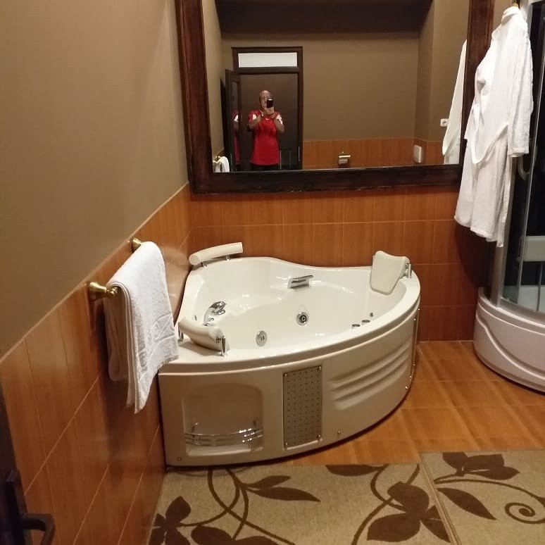 Hotel Poesis Satu Mare主图