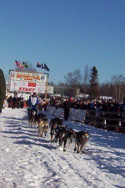 Iditarod Trail Sled Dog Race景点图片